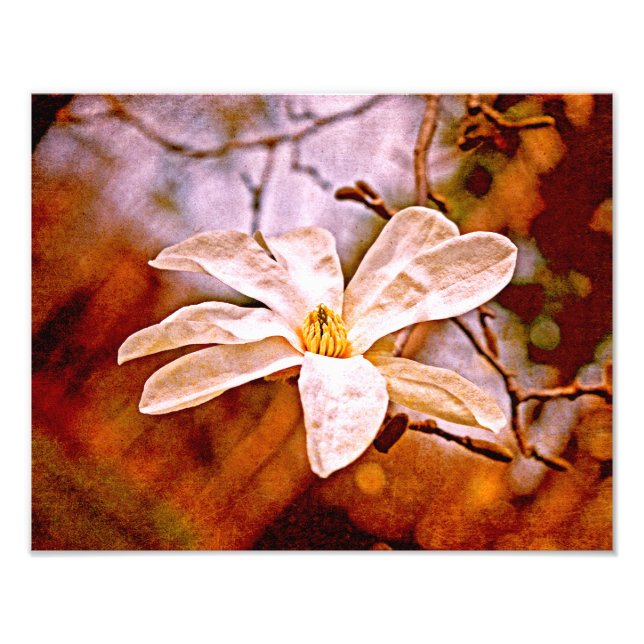 Magnolia Mood Photo Print (Front)