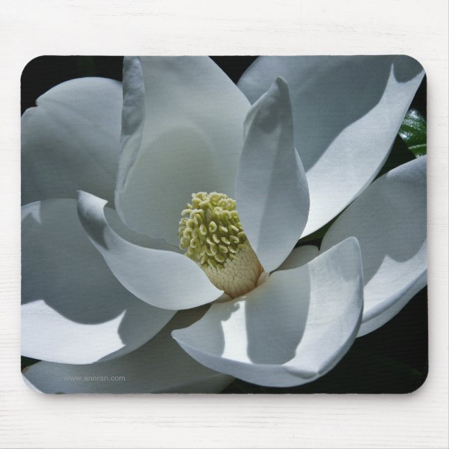 Magnolia Mousepad (Front)