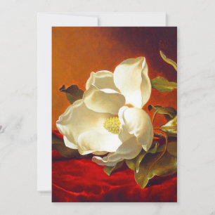 Magnolia on Red Velvet Martin Johnson Heade Announcement