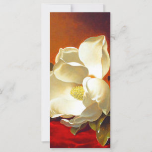 Magnolia on Red Velvet Martin Johnson Heade Card