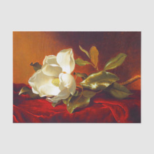 Magnolia on Red Velvet Martin Johnson Heade Tissue Paper