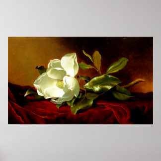 Magnolia on Red Velvet Poster