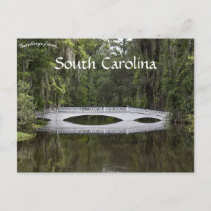 Magnolia Plantation Charleston South Carolina Postcard
