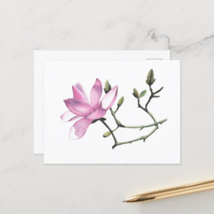 Magnolia Postcard