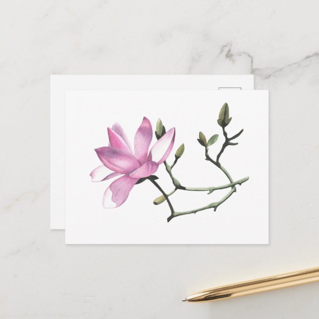 Magnolia Postcard (Front/Back In Situ)