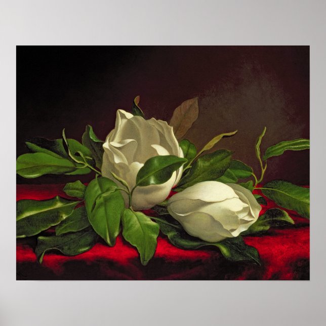 Magnolia Poster (Front)