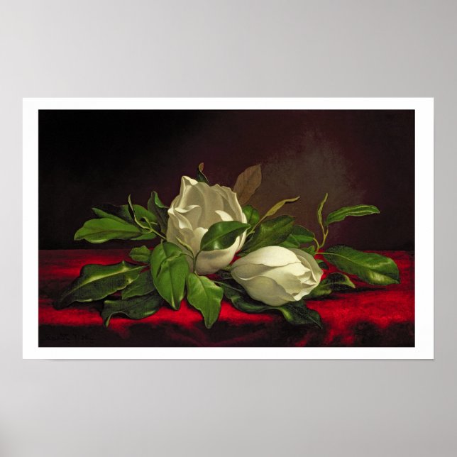 Magnolia Poster (Front)