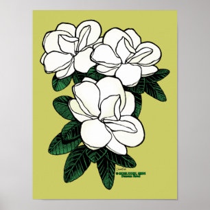 Magnolia poster