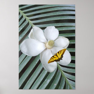 Magnolia Print, Value Poster Paper (Semi-Gloss)