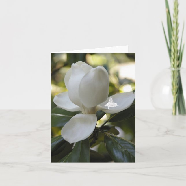 Magnolia Shadow Fairy Holiday Card (Front)