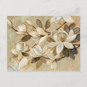 Magnolia Simplicity Cream Postcard