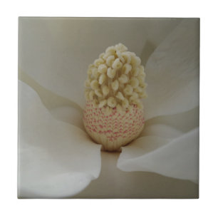 Magnolia Small (4.25" x 4.25") Ceramic Photo Tile