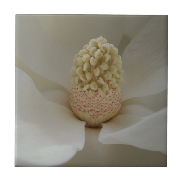 Magnolia Small (4.25" x 4.25") Ceramic Photo Tile (Front)