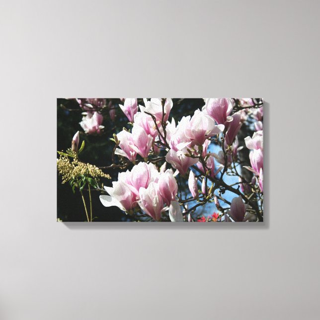 Magnolia Spring Floral Photography Canvas 6 (Front)