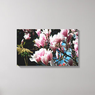 Magnolia Spring Floral Photography Canvas 6 Print