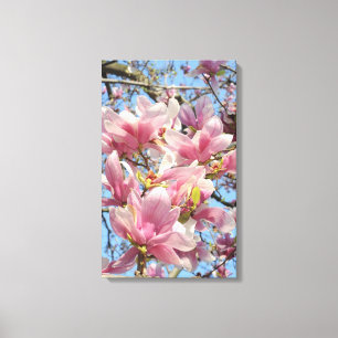 Magnolia Tree Canvas Print