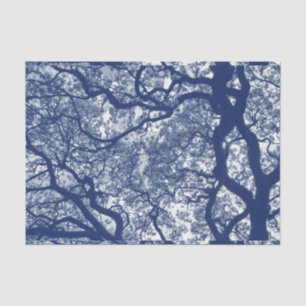 Magnolia Tree - Cyanotype Effect Tissue Paper