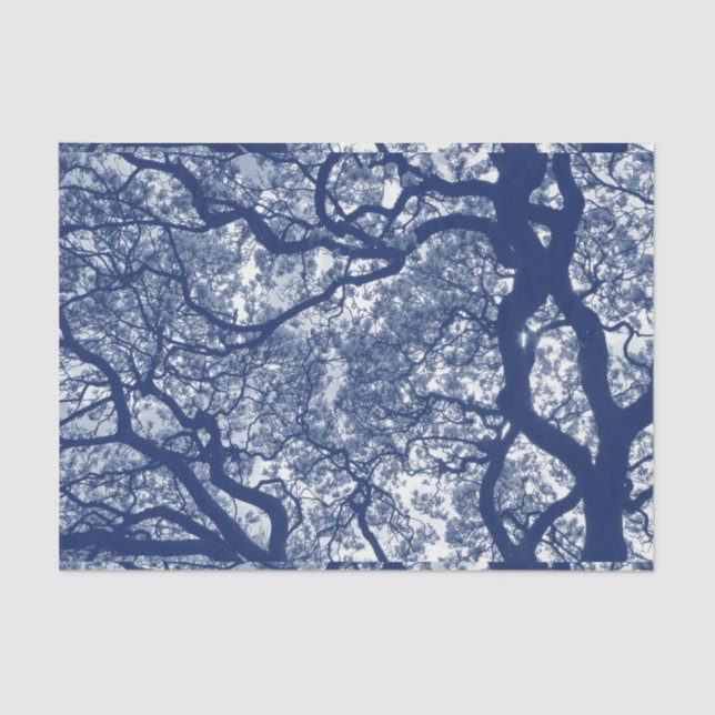 Magnolia Tree - Cyanotype Effect Tissue Paper (Front)