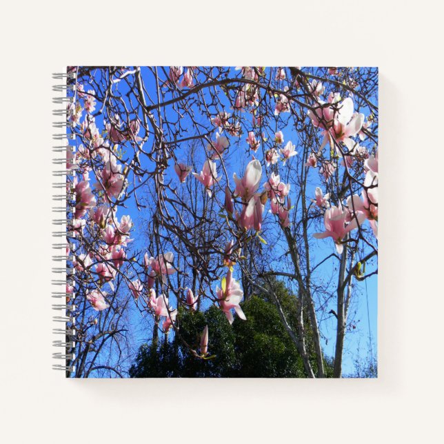 Magnolia tree.... notebook (Front)