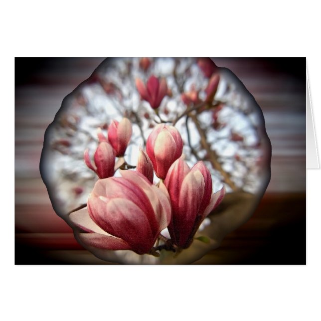 Magnolia Wood (Front Horizontal)