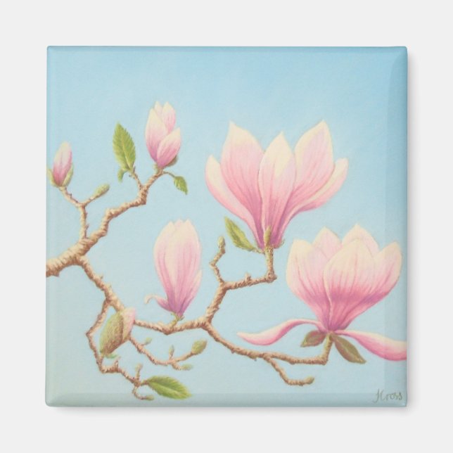 Magnolias in Bloom, Wisley Gardens in Pastel Magnet (Front)
