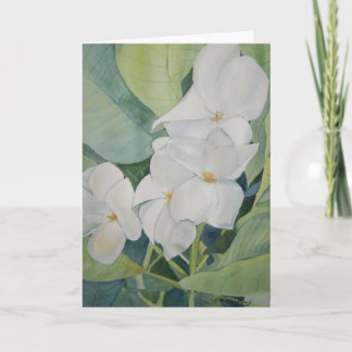 Magnolias in Texas  Greeting Card
