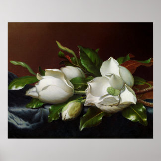 Magnolias on Light Blue by Martin Johnson Heade Poster