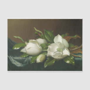 Magnolias on Light Blue Velvet Cloth by Heade Tissue Paper