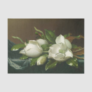 Magnolias on Light Blue Velvet Cloth by Heade Tissue Paper
