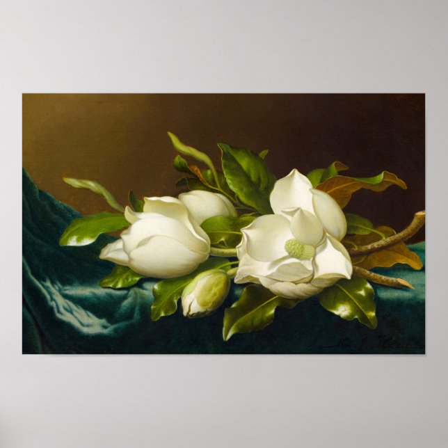 Magnolias on Light Blue Velvet Cloth by M J Heade Poster (Front)