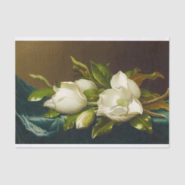 Magnolias on Light Blue Velvet Cloth by M J Heade Tissue Paper (Front)