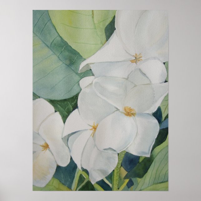 Magnolias Poster (Front)