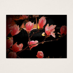 Magnolias Profile Card
