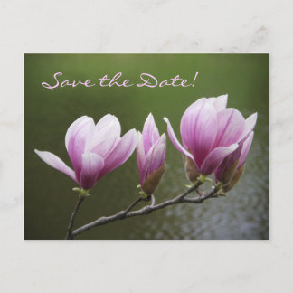 Magnolias, Save the Date! Announcement Postcard