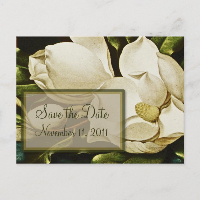 Magnolias Wedding Save the Date Postcard (Front)