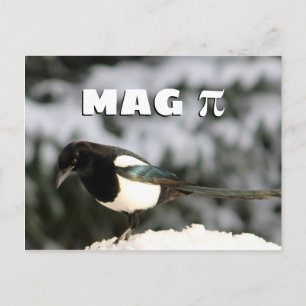 Magpi Postcard