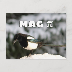 Magpi Postcard