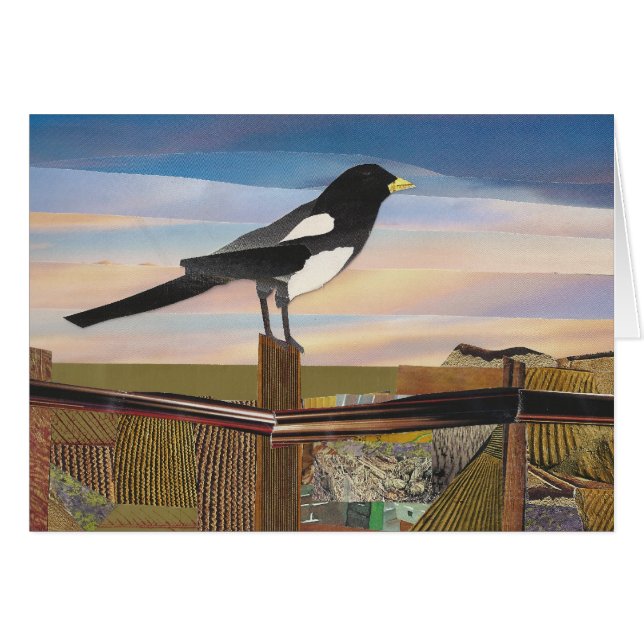 Magpie (Front Horizontal)