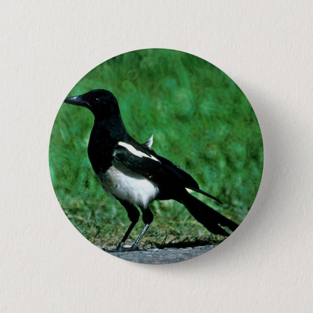 Magpie 6 Cm Round Badge (Front)