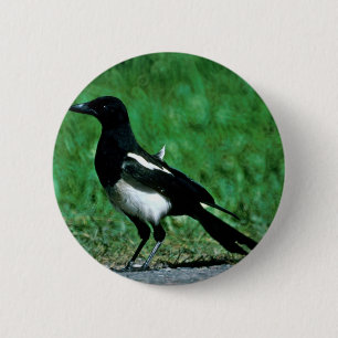 Magpie 6 Cm Round Badge