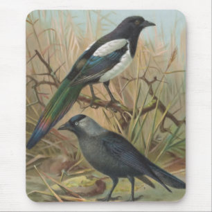 Magpie and Jackdaw Vintage Bird Illustration Mouse Mat