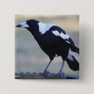 Magpie Badge (2) Perfect for Collingwood F.C.