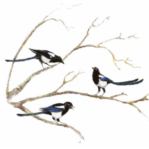 Magpie Family  Bird, Wildlife, Nature, Ornament Standing Photo Sculpture