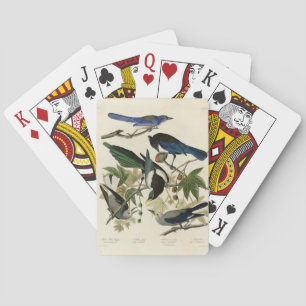 Magpie Jays & Nutcracker Audubon Birds of America Playing Cards