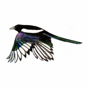 Magpie Magnet Photo Sculpture Magnet