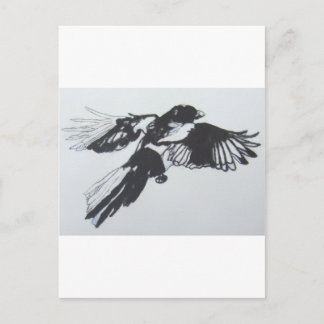 Magpie Postcard