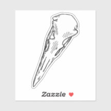 Magpie Skull