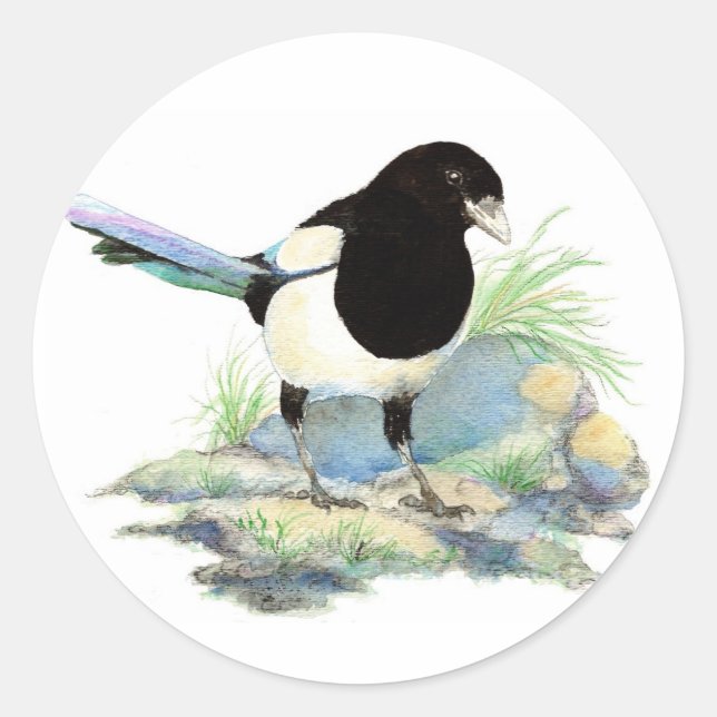 Magpie  - Watercolor Bird Classic Round Sticker (Front)