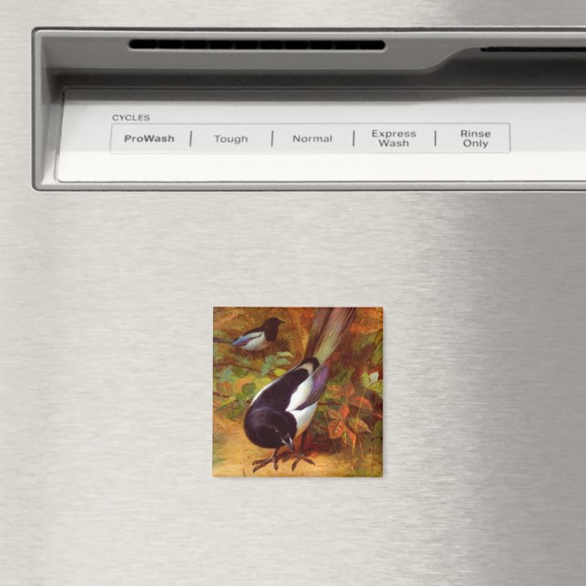 Magpies Magnet (In Situ (Dishwasher))