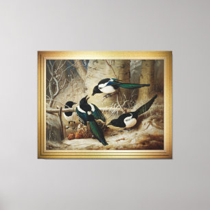 Magpies Round A Dead Female Capercaillie Canvas Print